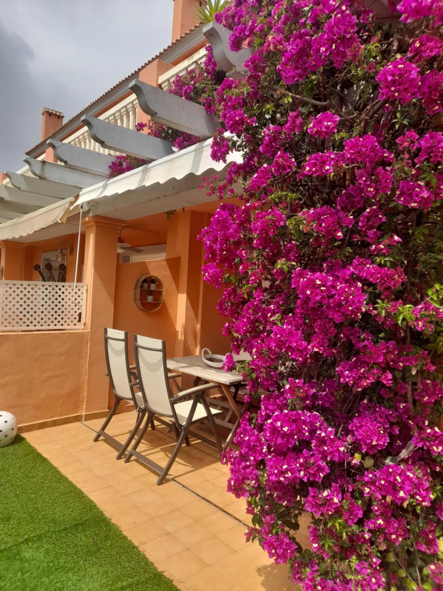 Apartamento Premium En Planta Baja Junto Al Parador Y Playa Del Arenal 哈维亚 外观 照片